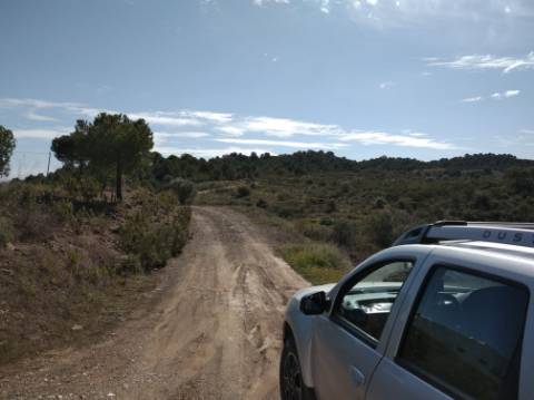 HERDADE COM 52 HECTARES - JUNTO A BARRAGEM DE ALCOUTIM - RIO CADAVAIS - ALCOUTIM - ALGARVE
