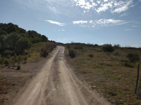 HERDADE COM 52 HECTARES - JUNTO A BARRAGEM DE ALCOUTIM - RIO CADAVAIS - ALCOUTIM - ALGARVE