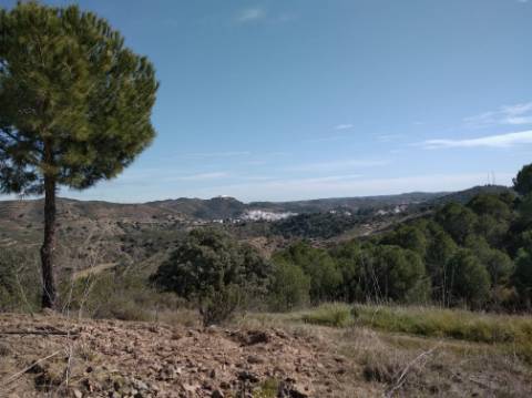 HERDADE COM 52 HECTARES - JUNTO A BARRAGEM DE ALCOUTIM - RIO CADAVAIS - ALCOUTIM - ALGARVE
