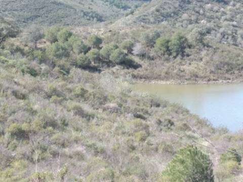 HERDADE COM 52 HECTARES - JUNTO A BARRAGEM DE ALCOUTIM - RIO CADAVAIS - ALCOUTIM - ALGARVE