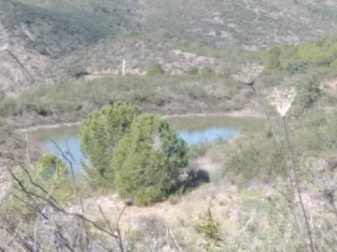 HERDADE COM 52 HECTARES - JUNTO A BARRAGEM DE ALCOUTIM - RIO CADAVAIS - ALCOUTIM - ALGARVE