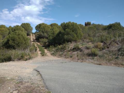 HERDADE COM 52 HECTARES - JUNTO A BARRAGEM DE ALCOUTIM - RIO CADAVAIS - ALCOUTIM - ALGARVE
