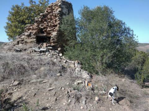 HERDADE COM 52 HECTARES - JUNTO A BARRAGEM DE ALCOUTIM - RIO CADAVAIS - ALCOUTIM - ALGARVE