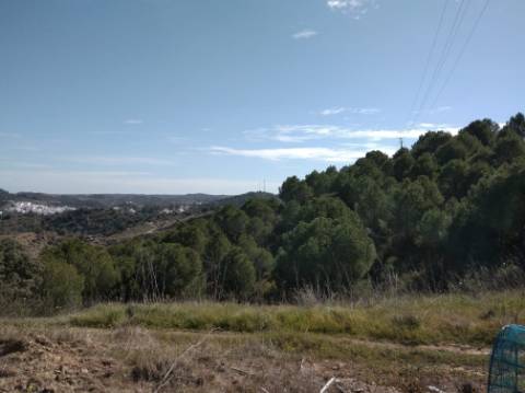 HERDADE COM 52 HECTARES - JUNTO A BARRAGEM DE ALCOUTIM - RIO CADAVAIS - ALCOUTIM - ALGARVE