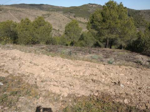 HERDADE COM 52 HECTARES - JUNTO A BARRAGEM DE ALCOUTIM - RIO CADAVAIS - ALCOUTIM - ALGARVE