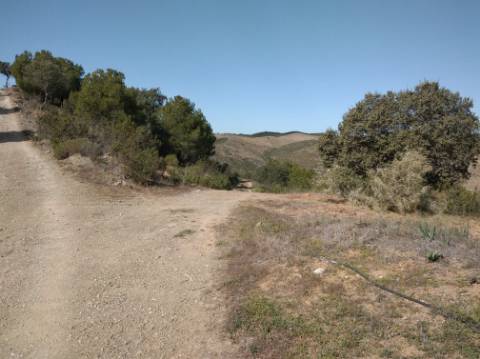 HERDADE COM 52 HECTARES - JUNTO A BARRAGEM DE ALCOUTIM - RIO CADAVAIS - ALCOUTIM - ALGARVE