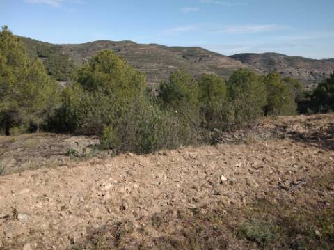 HERDADE COM 52 HECTARES - JUNTO A BARRAGEM DE ALCOUTIM - RIO CADAVAIS - ALCOUTIM - ALGARVE