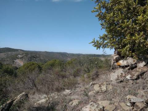 HERDADE COM 52 HECTARES - JUNTO A BARRAGEM DE ALCOUTIM - RIO CADAVAIS - ALCOUTIM - ALGARVE