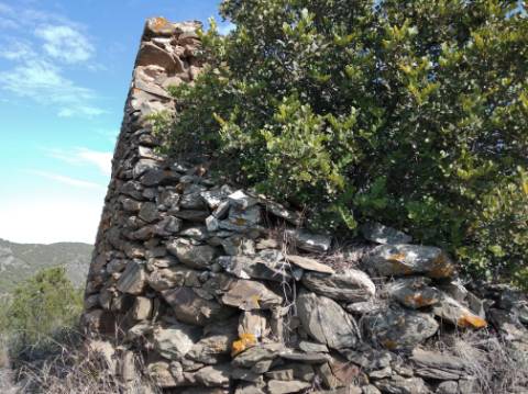 HERDADE COM 52 HECTARES - JUNTO A BARRAGEM DE ALCOUTIM - RIO CADAVAIS - ALCOUTIM - ALGARVE