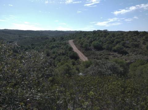 HERDADE COM 52 HECTARES - JUNTO A BARRAGEM DE ALCOUTIM - RIO CADAVAIS - ALCOUTIM - ALGARVE
