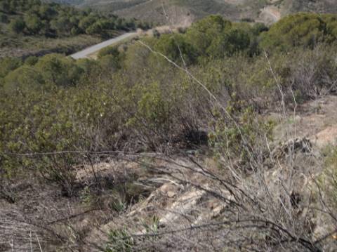 HERDADE COM 52 HECTARES - JUNTO A BARRAGEM DE ALCOUTIM - RIO CADAVAIS - ALCOUTIM - ALGARVE