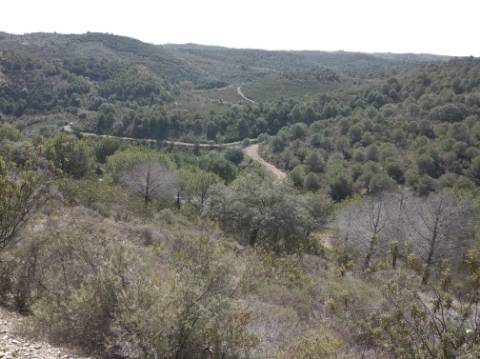 HERDADE COM 52 HECTARES - JUNTO A BARRAGEM DE ALCOUTIM - RIO CADAVAIS - ALCOUTIM - ALGARVE