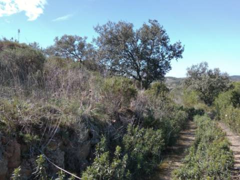 HERDADE COM 52 HECTARES - JUNTO A BARRAGEM DE ALCOUTIM - RIO CADAVAIS - ALCOUTIM - ALGARVE