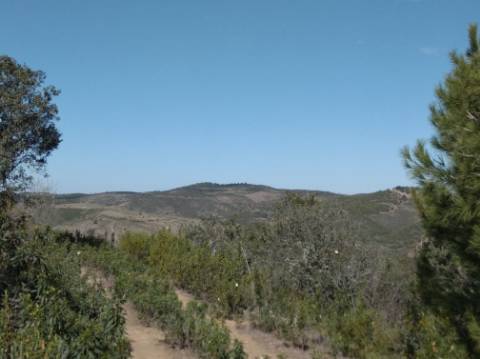 HERDADE COM 52 HECTARES - JUNTO A BARRAGEM DE ALCOUTIM - RIO CADAVAIS - ALCOUTIM - ALGARVE