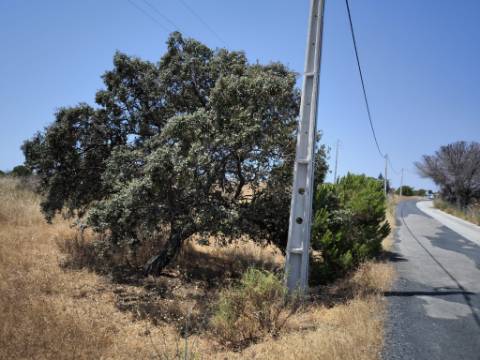 RUINA COM TERRENO - COM PIP APROVADO PARA MORADIA T3 COM PISCINA - VISTA MAR - VILA NOVA DE CACELA - VRSA - ALGARVE