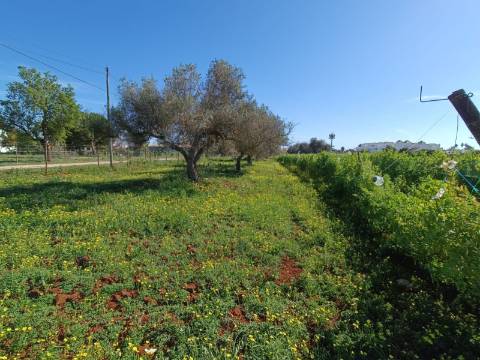 QUINTA RURAL T4 COM FURO - NORA - PRÓXIMO DA PRAIA EM CABANAS DE TAVIRA - ALGARVE