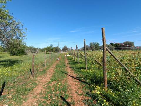 QUINTA RURAL T4 COM FURO - NORA - PRÓXIMO DA PRAIA EM CABANAS DE TAVIRA - ALGARVE