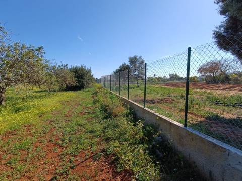 QUINTA RURAL T4 COM FURO - NORA - PRÓXIMO DA PRAIA EM CABANAS DE TAVIRA - ALGARVE
