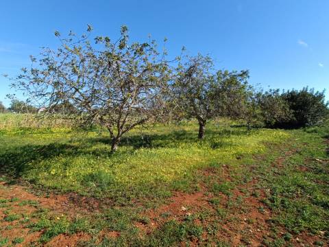 QUINTA RURAL T4 COM FURO - NORA - PRÓXIMO DA PRAIA EM CABANAS DE TAVIRA - ALGARVE