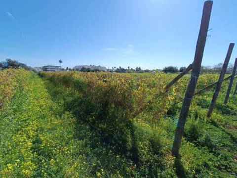 QUINTA RURAL T4 COM FURO - NORA - PRÓXIMO DA PRAIA EM CABANAS DE TAVIRA - ALGARVE