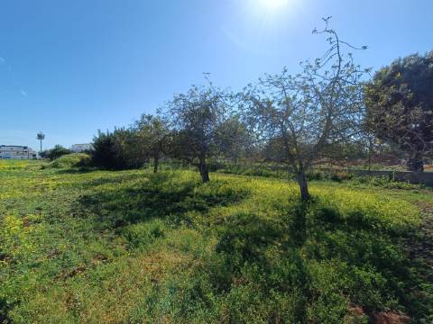 QUINTA RURAL T4 COM FURO - NORA - PRÓXIMO DA PRAIA EM CABANAS DE TAVIRA - ALGARVE