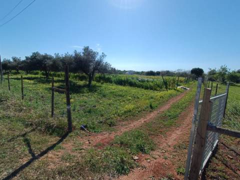 QUINTA RURAL T4 COM FURO - NORA - PRÓXIMO DA PRAIA EM CABANAS DE TAVIRA - ALGARVE