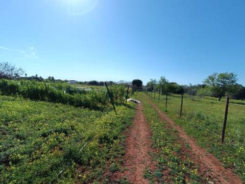 QUINTA RURAL T4 COM FURO - NORA - PRÓXIMO DA PRAIA EM CABANAS DE TAVIRA - ALGARVE