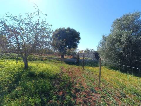 QUINTA RURAL T4 COM FURO - NORA - PRÓXIMO DA PRAIA EM CABANAS DE TAVIRA - ALGARVE