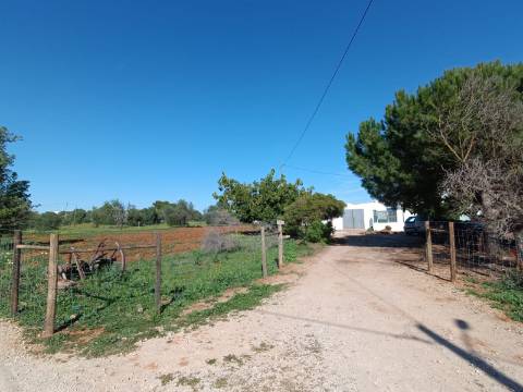 QUINTA RURAL T4 COM FURO - NORA - PRÓXIMO DA PRAIA EM CABANAS DE TAVIRA - ALGARVE