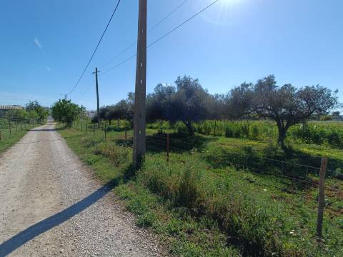 QUINTA RURAL T4 COM FURO - NORA - PRÓXIMO DA PRAIA EM CABANAS DE TAVIRA - ALGARVE