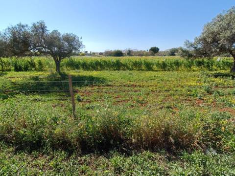 QUINTA RURAL T4 COM FURO - NORA - PRÓXIMO DA PRAIA EM CABANAS DE TAVIRA - ALGARVE