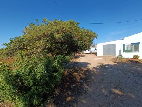 QUINTA RURAL T4 COM FURO - NORA - PRÓXIMO DA PRAIA EM CABANAS DE TAVIRA - ALGARVE