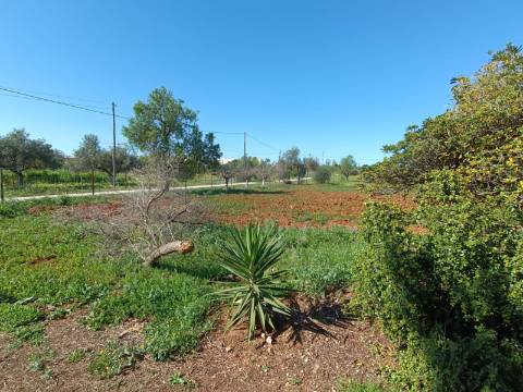 QUINTA RURAL T4 COM FURO - NORA - PRÓXIMO DA PRAIA EM CABANAS DE TAVIRA - ALGARVE