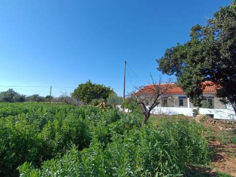 QUINTA RURAL T4 COM FURO - NORA - PRÓXIMO DA PRAIA EM CABANAS DE TAVIRA - ALGARVE