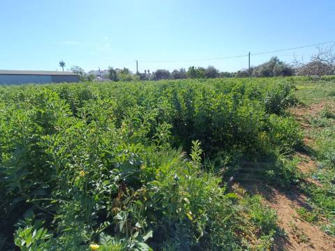 QUINTA RURAL T4 COM FURO - NORA - PRÓXIMO DA PRAIA EM CABANAS DE TAVIRA - ALGARVE