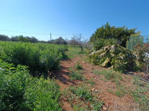 QUINTA RURAL T4 COM FURO - NORA - PRÓXIMO DA PRAIA EM CABANAS DE TAVIRA - ALGARVE
