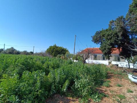 QUINTA RURAL T4 COM FURO - NORA - PRÓXIMO DA PRAIA EM CABANAS DE TAVIRA - ALGARVE