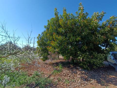 QUINTA RURAL T4 COM FURO - NORA - PRÓXIMO DA PRAIA EM CABANAS DE TAVIRA - ALGARVE