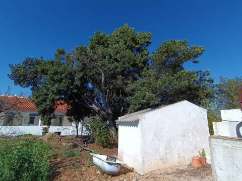 QUINTA RURAL T4 COM FURO - NORA - PRÓXIMO DA PRAIA EM CABANAS DE TAVIRA - ALGARVE