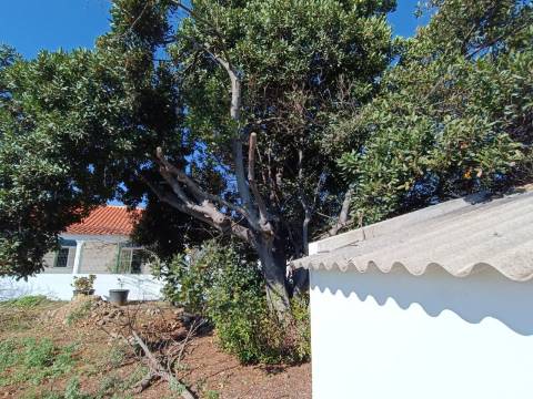 QUINTA RURAL T4 COM FURO - NORA - PRÓXIMO DA PRAIA EM CABANAS DE TAVIRA - ALGARVE