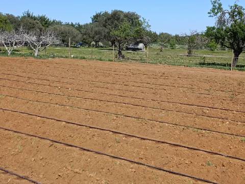 QUINTA RURAL T4 COM FURO - NORA - PRÓXIMO DA PRAIA EM CABANAS DE TAVIRA - ALGARVE