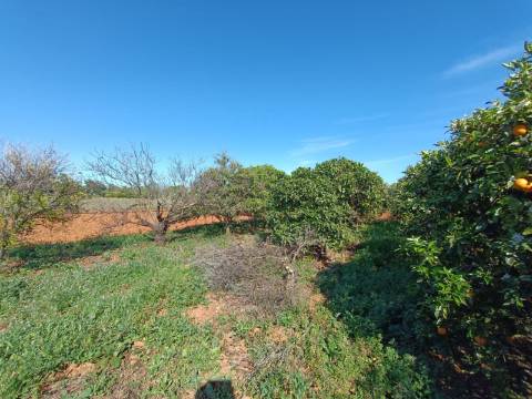 QUINTA RURAL T4 COM FURO - NORA - PRÓXIMO DA PRAIA EM CABANAS DE TAVIRA - ALGARVE