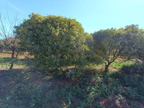 QUINTA RURAL T4 COM FURO - NORA - PRÓXIMO DA PRAIA EM CABANAS DE TAVIRA - ALGARVE