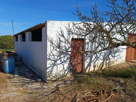 QUINTA RURAL T4 COM FURO - NORA - PRÓXIMO DA PRAIA EM CABANAS DE TAVIRA - ALGARVE