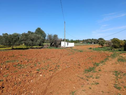 QUINTA RURAL T4 COM FURO - NORA - PRÓXIMO DA PRAIA EM CABANAS DE TAVIRA - ALGARVE