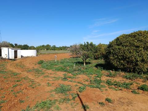 QUINTA RURAL T4 COM FURO - NORA - PRÓXIMO DA PRAIA EM CABANAS DE TAVIRA - ALGARVE