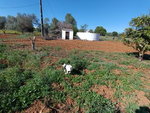 QUINTA RURAL T4 COM FURO - NORA - PRÓXIMO DA PRAIA EM CABANAS DE TAVIRA - ALGARVE