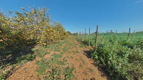QUINTA RURAL T4 COM FURO - NORA - PRÓXIMO DA PRAIA EM CABANAS DE TAVIRA - ALGARVE