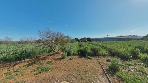 QUINTA RURAL T4 COM FURO - NORA - PRÓXIMO DA PRAIA EM CABANAS DE TAVIRA - ALGARVE