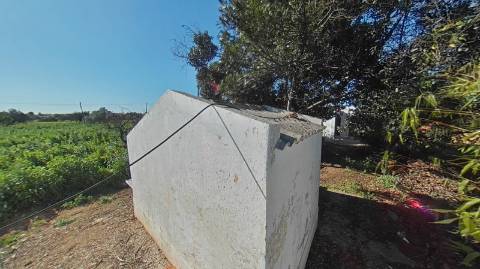 QUINTA RURAL T4 COM FURO - NORA - PRÓXIMO DA PRAIA EM CABANAS DE TAVIRA - ALGARVE